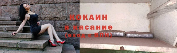 шишки Касимов